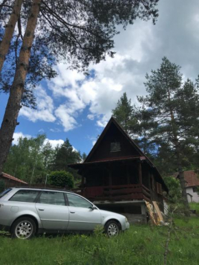 Villa Zelen bor